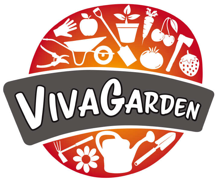 VIVAGARDEN Benzin-Rasenmäher RMB 41